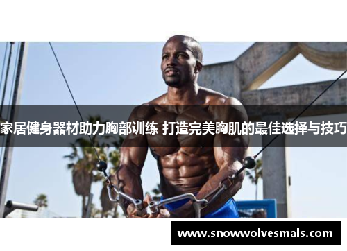 家居健身器材助力胸部训练 打造完美胸肌的最佳选择与技巧