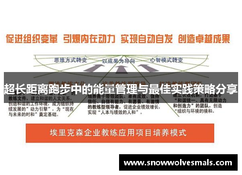 超长距离跑步中的能量管理与最佳实践策略分享