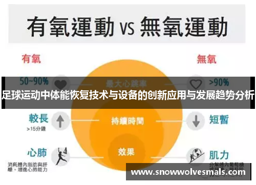 足球运动中体能恢复技术与设备的创新应用与发展趋势分析