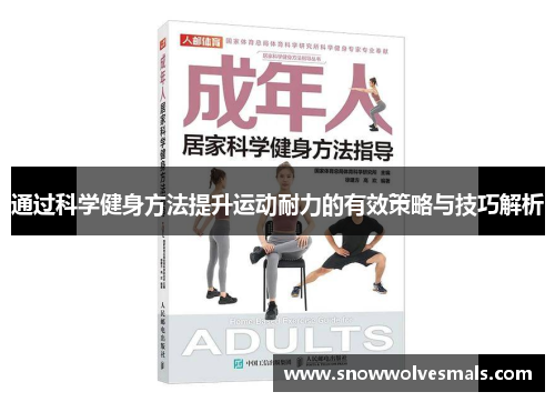 通过科学健身方法提升运动耐力的有效策略与技巧解析