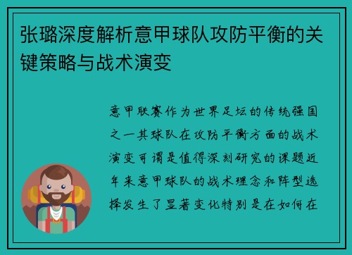 张璐深度解析意甲球队攻防平衡的关键策略与战术演变